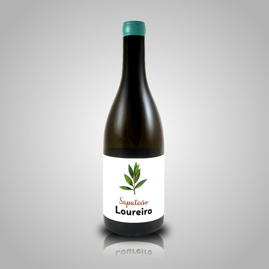 Sapateiro Loureiro 2025